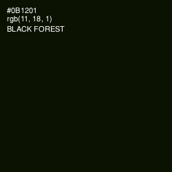 #0B1201 - Black Forest Color Image